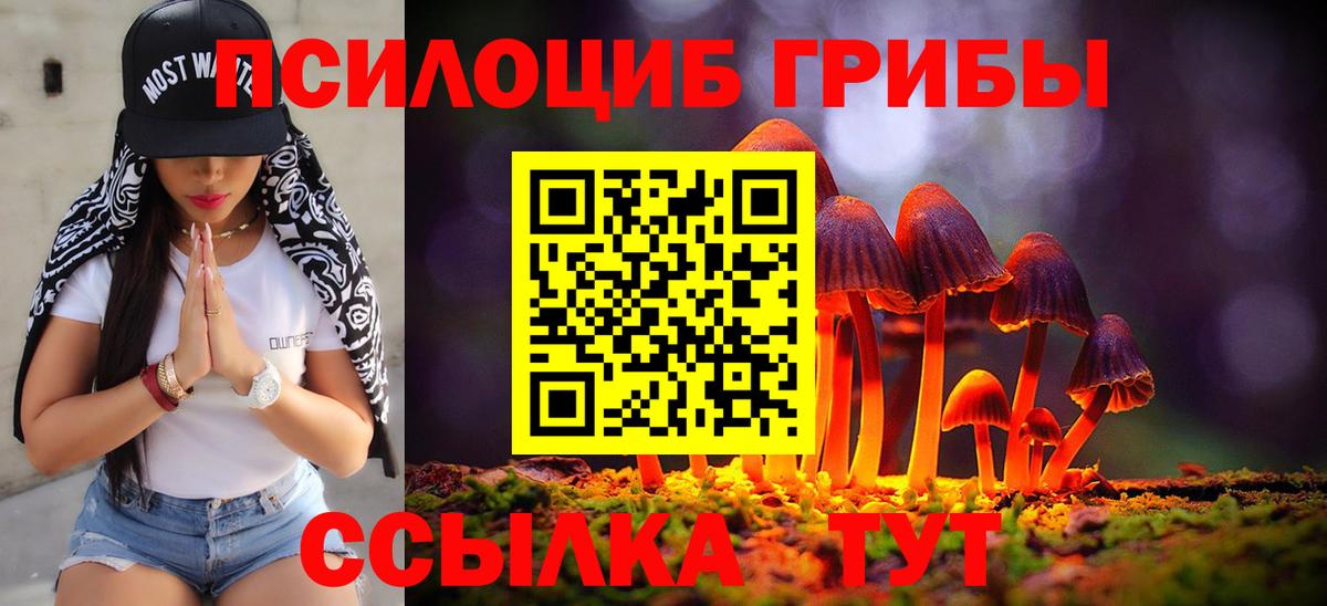 даркнет сайт  Псилоцибиновые грибы Psilocybe  Вход с VPN  Нефтеюганск  Галлюциногенные грибы мицелий 